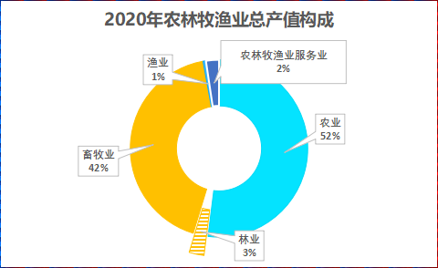 图片5 图片5