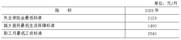 表12 2025年社会保障相关待遇标准
