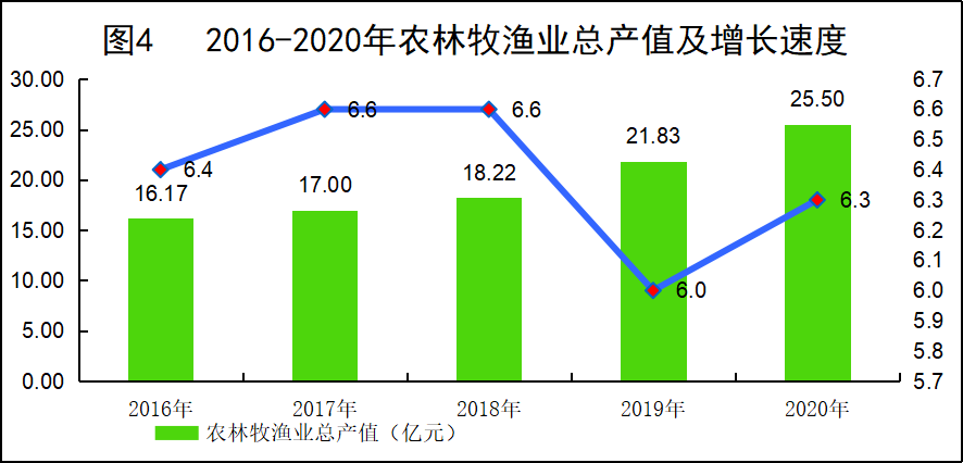 图片4 图片4