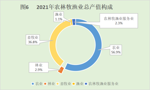 图表6 图表6