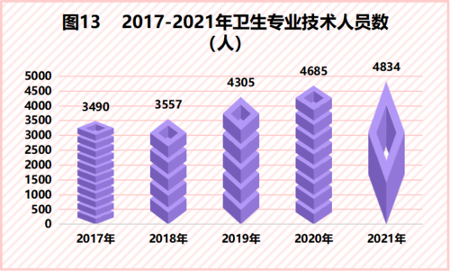 图表13 图表13