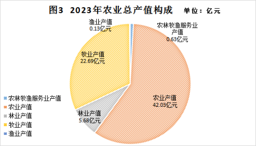 图片3 图片3