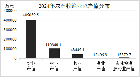 武夷山市2024年国民经济和社会发展统计公报