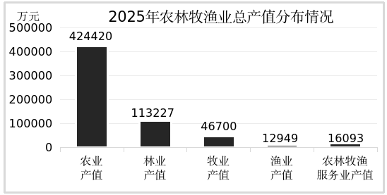 武夷山市2025年国民经济和社会发展统计公报